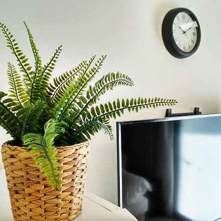 تل أبيب Beautiful Studio On Jerusalem Boulevard المظهر الخارجي الصورة