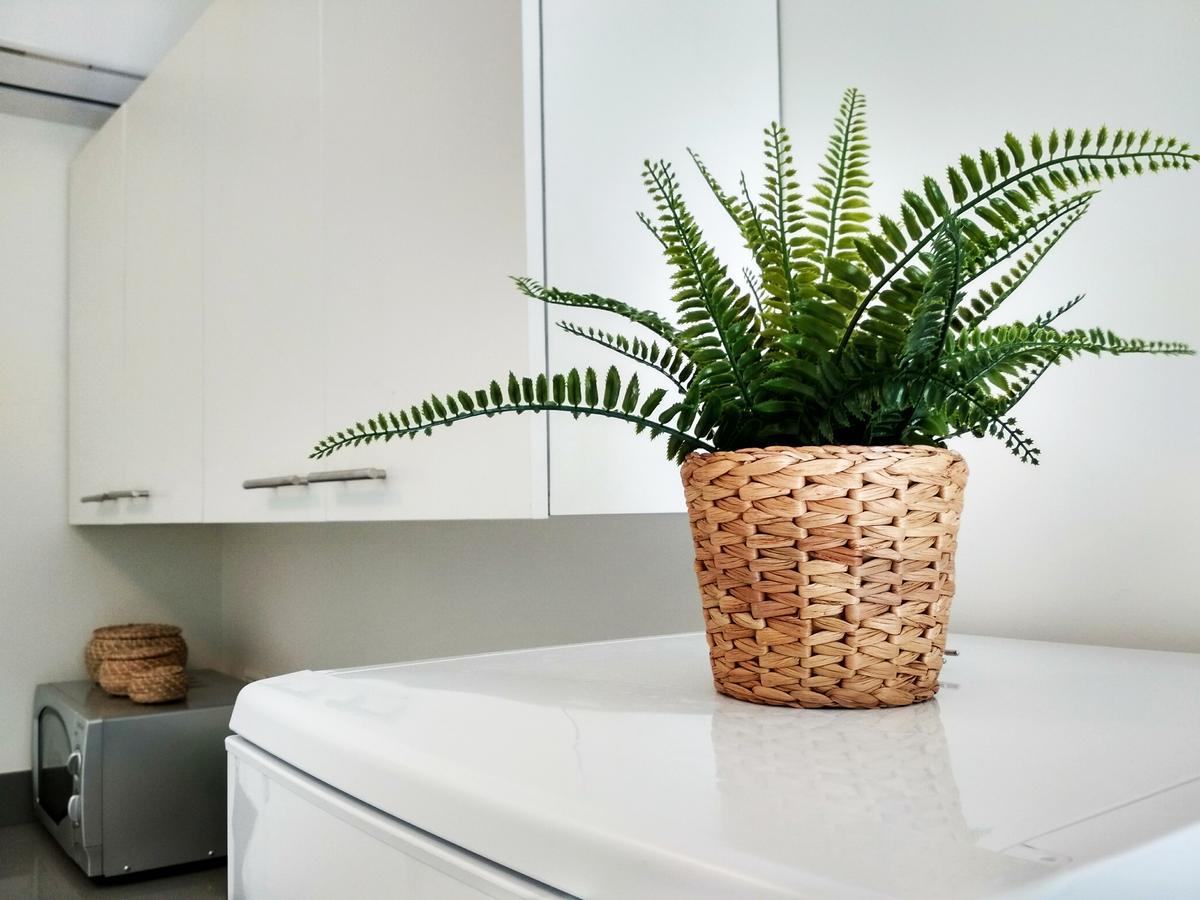 تل أبيب Beautiful Studio On Jerusalem Boulevard المظهر الخارجي الصورة